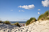 Beach chairs at beach, Norddorf, Amrum island, Schleswig-Holstein, Germany