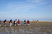 Wattwanderung, Amrum, Schleswig-Holstein, Deutschland