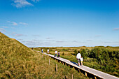 Wooden Path in Dunes, Amrum Island, North Frisian Islands, Schleswig-Holstein, Germany