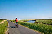 Cyclist near Witsum, Föhr Island, North Frisian Islands, Schleswig-Holstein, Germany