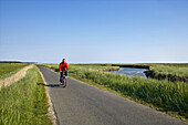 Cyclist near Witsum, Foehr island, Schleswig-Holstein, Germany