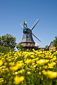 Windmill, Borgsum, Foehr Island, Schleswig-Holstein, Germany