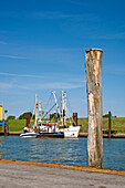 Fishing Boat in Harbour, Pellworm Island, North Frisian Islands, Schleswig-Holstein, Germany