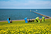 Deich mit Blumen, Hooger Fähre, Pellworm, Nordfriesland, Schleswig-Holstein, Deutschland