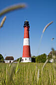 Leuchtturm, Pellworm, Schleswig-Holstein, Deutschland