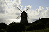 Windmill on the south coast, Pico Island, Azores, Portugal