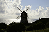 Windmühle an der Südküste, Insel Pico, Azoren, Portugal