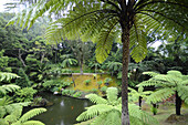 Terra Nostra Park in the hot springs of Furnas, Eastern part of the island, Sao Miguel, Azores, Portugal