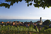 View over vineyard and Meersburg to lake Constance, Baden-Wurttemberg, Germany
