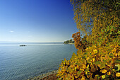 Herbstliche Szenerie am Bodensee, bei Hagnau, Baden-Württemberg, Deutschland