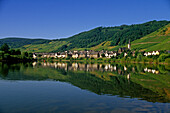 Mosel und die Häuser von Bremm unter blauem Himmel, Bremm, Mosel, Rheinland-Pfalz, Deutschland