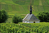 Vineyard with martyr chapel, Neumagen, Rhineland-Palatinate, Germany