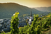 Blick von einem Weinberg auf Kirche St. Martin, Ediger-Eller, Rheinland-Pfalz, Deutschland