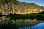 Klosterruine Stuben am Ufer der Mosel, Rheinland-Pfalz, Deutschland