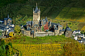 Blick auf die Reichsburg inmitten Weinfeldern, Rheinland-Pfalz, Deutschland