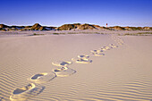 Footprints at beach, lighthouse in background, Amrum island, Schleswig-Holstein, Germany