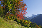 Valley Groednertal in autumn with Sella range and Langkofel, Dolomites, South Tyrol, Italy