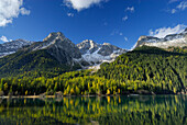 Lake Antholzer See with larches in autumn colours and Ohrenspitze, Riesenfernergruppe range, South Tyrol, Italy