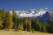 Marmarole range with larches in autumn colors, Dolomites, Veneto, Italy