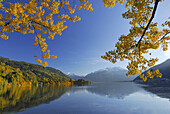 Herbstlandschaft am Zeller See, Zell am See, Salzburg, Österreich