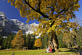 Paar sitzt unter einem Ahornbaum, Kleiner Ahornboden, Karwendel, Tirol, Österreich