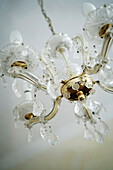 Candelabra made of gold and crystal is hanging from the seiling