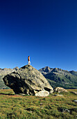 Junge Frau auf riesigem Felsbrocken auf Almwiese, Berninagruppe, Bernina, Oberengadin, Engadin, Graubünden, Schweiz
