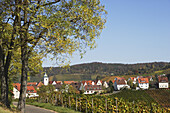 Rotenberg vinery, Unterturkheim, Stuttgarten, Baden-Wurttemberg, Germany