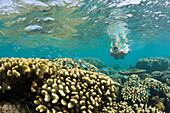 Corals and Skin Diver in Bikini Lagoon, Marshall Islands, Bikini Atoll, Micronesia, Pacific Ocean