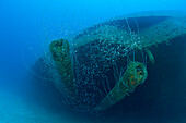 12-inch Gun of USS Arkansas Battleship, Marshall Islands, Bikini Atoll, Micronesia, Pacific Ocean