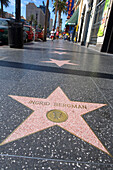 Ingrid Bergman Stern, Walk of Fame, Hollywood Boulevard, Los Angeles, Kalifornien, USA