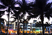 Palmen vor beleuchteten Hotels am Abend, Ocean Drive, South Beach, Miami Beach, Florida, USA