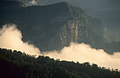 Morning mist in a gorge at Shei-Pa National Park, Taiwan, Asia