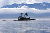 Island in British Columbia, near Johnstone strait, north of Vancouver Island, in front of Telegraph Cove, near Port Mac Neil. Canada.  