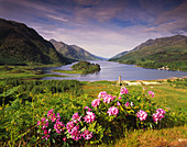 Loch Shiel and Glenfinnan Monument. Highlands, Scotland, UK