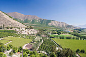 Don maximiano estate Viña errazuriz winery Aconcagua valley Chile
