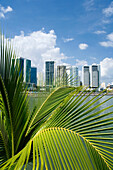 Waterfront skyline Avenida Balboa Panama city Panama