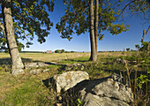 USA. Pennsylvania. Gettysburg. Cemetery Ridge. Codori Farm.