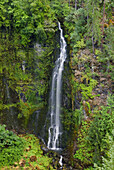 Barr Creek Falls, Rogue River National Forest, Oregon, USA