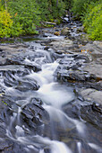 Narada Creek, Mount Rainier National Park, Washington, USA