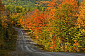Highway 546 and autumn colour, Ontario, Canada