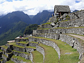 Terraces. Machu Picchu. Peru