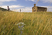 Romanesque chapel of San Salvador (12th century). Irgo. Alta Ribagorça, Catalonia, Spain