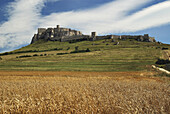 Wheat fields. Spiss castle. Slovakia