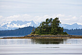 Group of trees in front of Baranof Island, Inside Passage, Southeast Alaska, USA