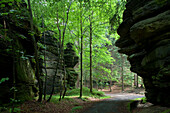 Uttewalder Grund, Nationalpark Sächsische Schweiz, Lohmen, Sachsen, Deutschland