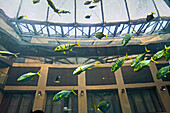 the 5 star Radisson SAS Hotel features the world's largest cylindrical aquarium. entrance to Aqua Dom, a diver cleans the tank, Berlin, Germany