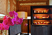 Orchidee im Spa im Bulgari Resort, Bukit Badung, Südküste, Bali, Indonesien, Asien