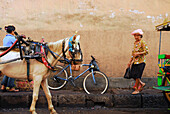 Horse with carriage at Central market Pasar Badung at Denpasar, Bali, Indonesia, Asia