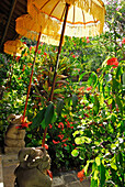 Schirme im menschenleeren Garten des Matahari Hotels, Pemuteran, Nordwest Bali, Indonesien, Asien